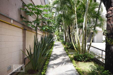 Apartamento para alugar com 50m², 2 quartos e 1 vaga Apartamento para alugar com 50m², 2 quartos e 1 vagaJardim