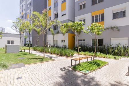 Apartamento para alugar com 38m², 2 quartos e sem vaga Apartamento para alugar com 38m², 2 quartos e sem vagaÁrea Coimum