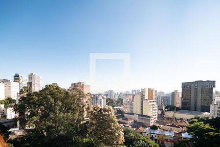 Vista da Varanda da Sala de apartamento para alugar com 1 quarto, 45m² em Bela Vista, São Paulo
