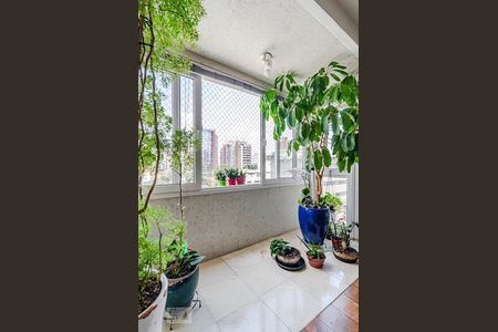 Sala de apartamento para alugar com 3 quartos, 130m² em Cerqueira César, São Paulo