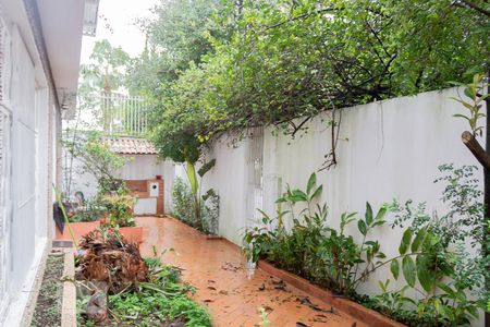 Casa para alugar com 230m², 3 quartos e 2 vagasQuintal