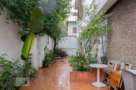 Casa para alugar com 230m², 3 quartos e 2 vagasQuintal