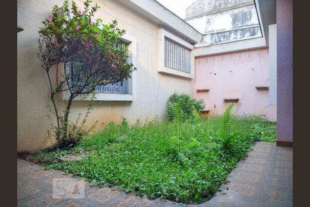 Casa à venda com 290m², 3 quartos e 5 vagasÁrea Externa