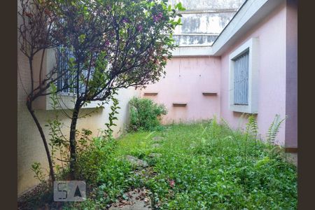 Casa à venda com 290m², 3 quartos e 5 vagasÁrea Externa