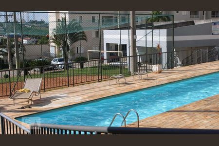 Área comum - Piscina de apartamento para alugar com 2 quartos, 50m² em Jardim Antonio Von Zuben, Campinas