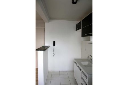 Cozinha de apartamento para alugar com 2 quartos, 50m² em Jardim Antonio Von Zuben, Campinas
