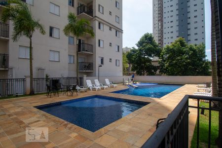 Apartamento para alugar com 65m², 2 quartos e 1 vaga Apartamento para alugar com 65m², 2 quartos e 1 vagaÁrea comum - Piscina