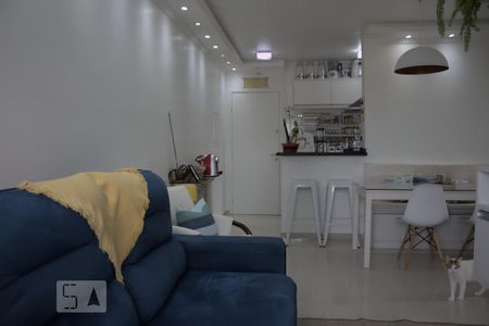 Sala de apartamento à venda com 3 quartos, 67m² em Vila Hamburguesa, São Paulo