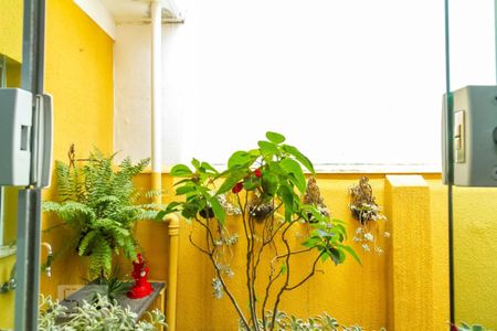 Casa à venda com 269m², 3 quartos e 5 vagasVista