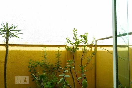 Casa à venda com 269m², 3 quartos e 5 vagasVista