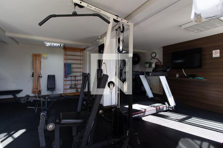 Apartamento para alugar com 53m², 2 quartos e 1 vaga Apartamento para alugar com 53m², 2 quartos e 1 vagaÁrea comum - Academia