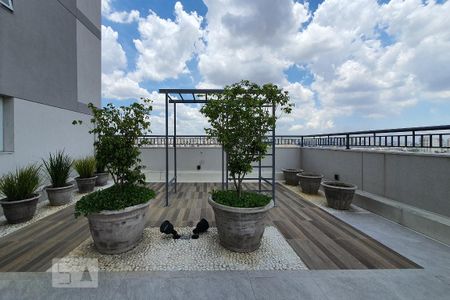 Terraço comum de apartamento para alugar com 2 quartos, 34m² em Cambuci, São Paulo