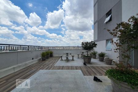 Terraço comum de apartamento para alugar com 2 quartos, 34m² em Cambuci, São Paulo