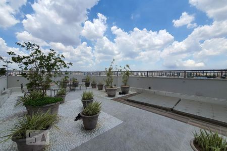 Terraço comum de apartamento para alugar com 2 quartos, 34m² em Cambuci, São Paulo