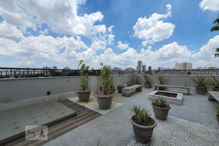 Terraço comum de apartamento para alugar com 2 quartos, 34m² em Cambuci, São Paulo