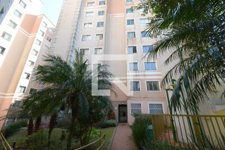 Apartamento para alugar com 50m², 2 quartos e 1 vagaFachada do bloco