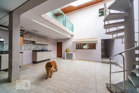 Casa para alugar com 340m², 4 quartos e 4 vagasQuintal