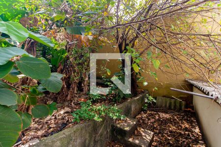 Casa para alugar com 170m², 3 quartos e 2 vagasQuintal