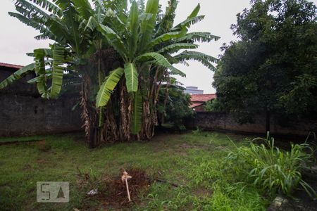 Casa para alugar com 400m², 2 quartos e 1 vaga Casa para alugar com 400m², 2 quartos e 1 vagaQuintal