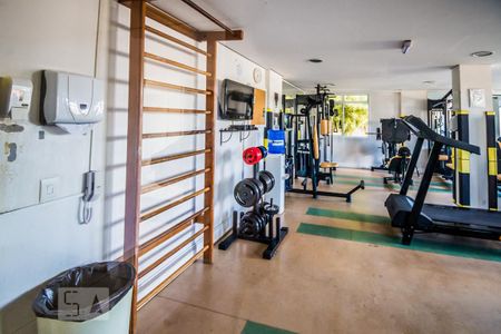 Apartamento à venda com 50m², 2 quartos e 1 vagaÁrea comum - Academia