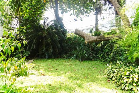 Casa à venda com 550m², 2 quartos e sem vagaÁrea Externa