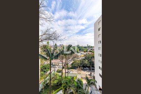 Vista da Varanda de apartamento para alugar com 2 quartos, 65m² em Vila Progredior, São Paulo