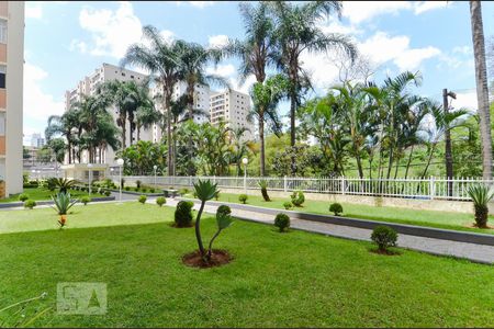 Vista da Varanda de apartamento para alugar com 3 quartos, 73m² em Macedo, Guarulhos