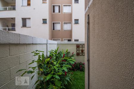Vista da Suíte de apartamento para alugar com 2 quartos, 110m² em Jardim Nova Europa, Campinas