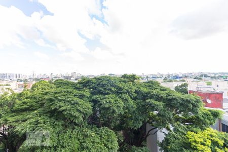 Apartamento para alugar com 70m², 3 quartos e 1 vaga Apartamento para alugar com 70m², 3 quartos e 1 vagaVista