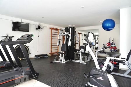 Apartamento para alugar com 68m², 2 quartos e 1 vaga Apartamento para alugar com 68m², 2 quartos e 1 vagaAcabdemia
