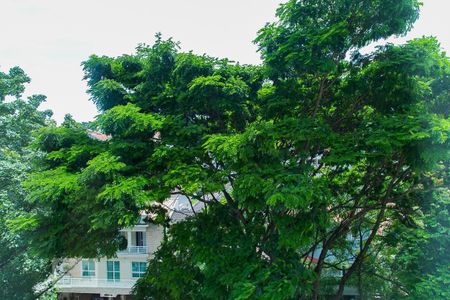 Apartamento à venda com 220m², 4 quartos e 3 vagasVista da sala de jantar