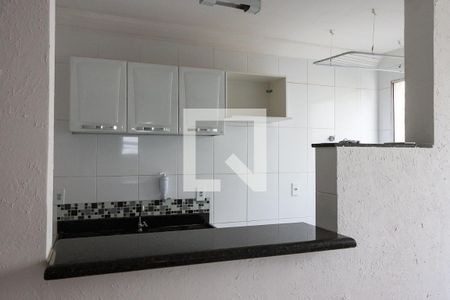 Cozinha de apartamento para alugar com 2 quartos, 47m² em Ribeirânia, Ribeirão Preto
