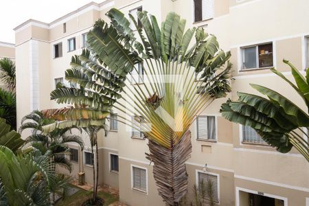 Vista Janela Sala de apartamento para alugar com 2 quartos, 47m² em Ribeirânia, Ribeirão Preto