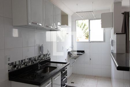 Cozinha de apartamento para alugar com 2 quartos, 47m² em Ribeirânia, Ribeirão Preto