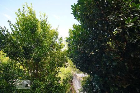 Sala - Vista de casa à venda com 4 quartos, 380m² em Jardim Itu, Porto Alegre