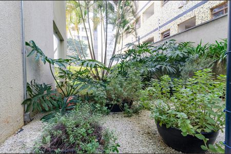 Apartamento para alugar com 55m², 2 quartos e 1 vagaHorta