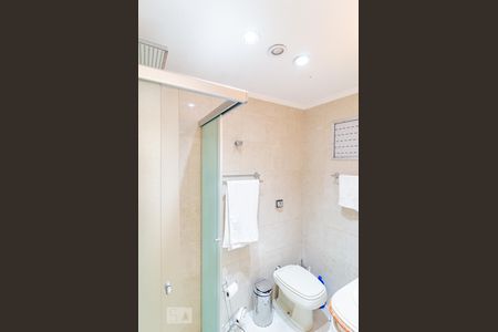 Banheiro Social de apartamento para alugar com 2 quartos, 55m² em Vila Mariana, São Paulo