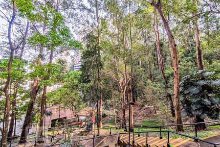 Apartamento para alugar com 55m², 2 quartos e 2 vagasÁrea Comum do Club - Bosque