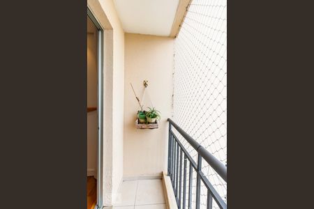 Varanda da Sala de apartamento para alugar com 2 quartos, 50m² em Vila Antonieta, São Paulo