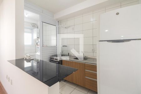 Cozinha  de apartamento para alugar com 2 quartos, 47m² em Jardim América da Penha, São Paulo