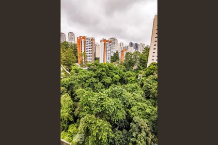 Apartamento para alugar com 110m², 3 quartos e 2 vagas Apartamento para alugar com 110m², 3 quartos e 2 vagasVista do Quarto 2