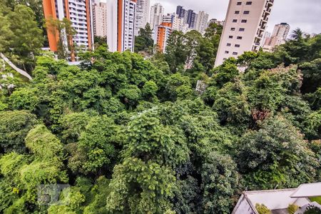 Apartamento para alugar com 110m², 3 quartos e 2 vagas Apartamento para alugar com 110m², 3 quartos e 2 vagasVista do Quarto 1