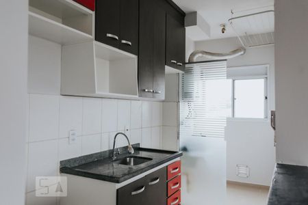 Cozinha de apartamento para alugar com 2 quartos, 48m² em Ribeirânia, Ribeirão Preto