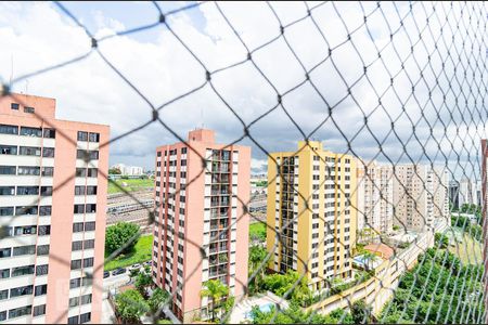 Vista da Varanda de apartamento à venda com 2 quartos, 55m² em Vila Parque Jabaquara, São Paulo