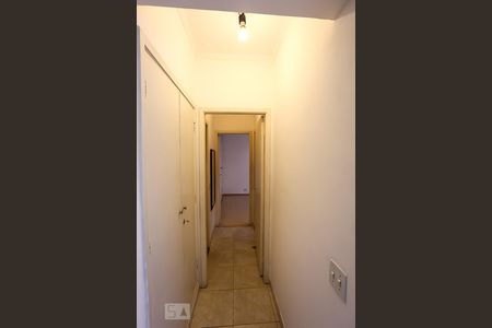 Corredor de apartamento para alugar com 2 quartos, 72m² em Butantã, São Paulo