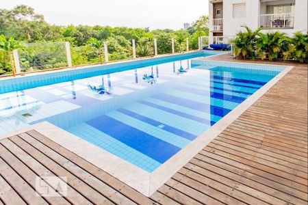 Apartamento para alugar com 45m², 1 quarto e 1 vagaPiscina