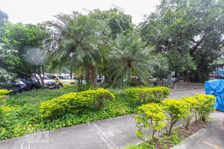 Apartamento para alugar com 40m², 1 quarto e 1 vagaQuintal