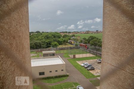 Apartamento para alugar com 66m², 3 quartos e 1 vagaCozinha - vista da janela