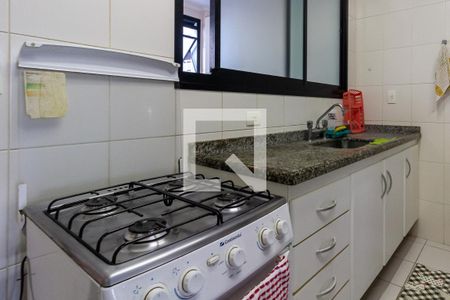 Apartamento para alugar com 246m², 4 quartos e 2 vagasDetalhe da cozinha