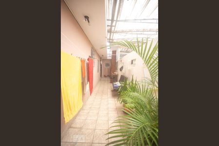 Casa à venda com 352m², 4 quartos e 7 vagasQuintal